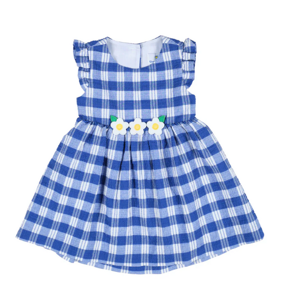 Plaid Seersucker Dress With Flowers