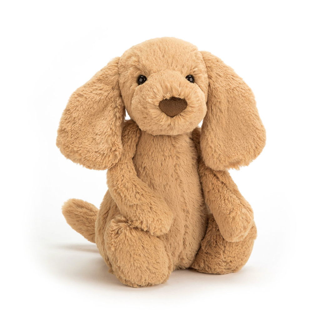 bashful puppy