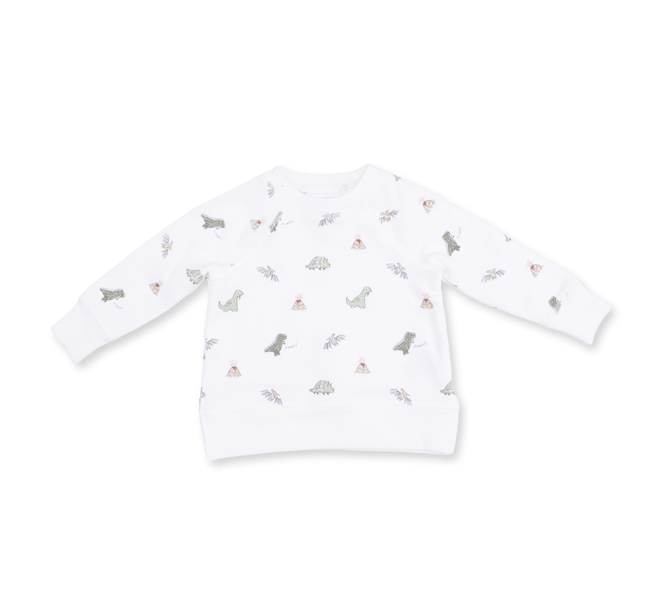 Dinos French Terry - Raglan Sweatshirt
